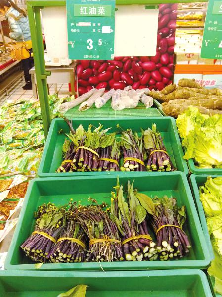 受天冷影响&nbsp;内江自贡蔬菜价格集体飙升(图2)