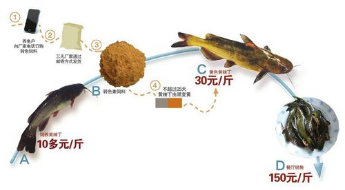 泸州"转色黄辣丁"暴露行业"潜规则"(图1) 泸州"转色黄辣丁"暴露行业"潜规则"(图1)