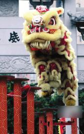 宜宾筠连狮子"舞上"央视&nbsp;第五代传人要收传人(图1)