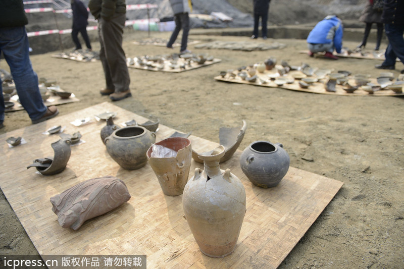 “神秘”石兽引网友猜测(图1)