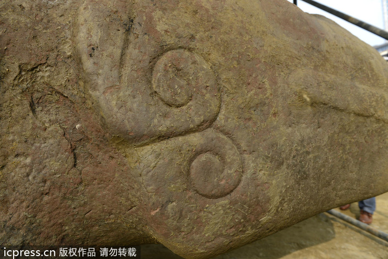 “神秘”石兽引网友猜测(图2)
