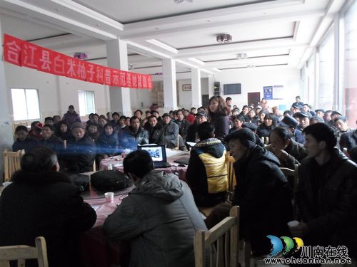 白米乡：柚子基地引来农资企业贴身服务(图1)