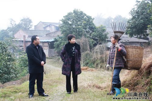 泸县县委副书记孙海燕视察海潮工作(图1) 泸县县委副书记孙海燕视察海潮工作(图1)