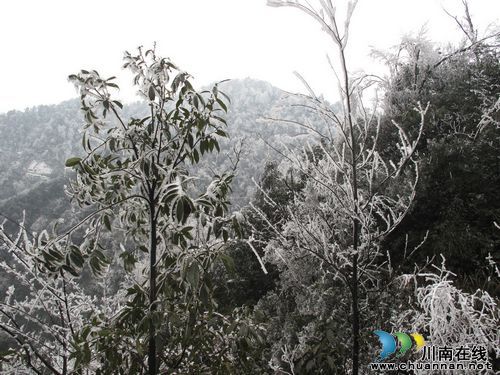 泸州:天堂坝美丽雪景吸引八方游客流连忘返(图3) 泸州:天堂坝美丽雪景吸引八方游客流连忘返(图3)