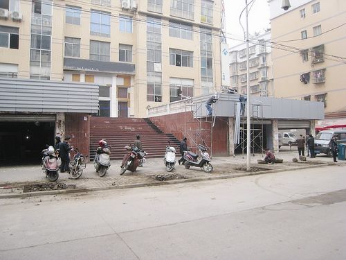 小叶榕换桂花树 行道树更换起风波(图1) 小叶榕换桂花树 行道树更换起风波(图1)