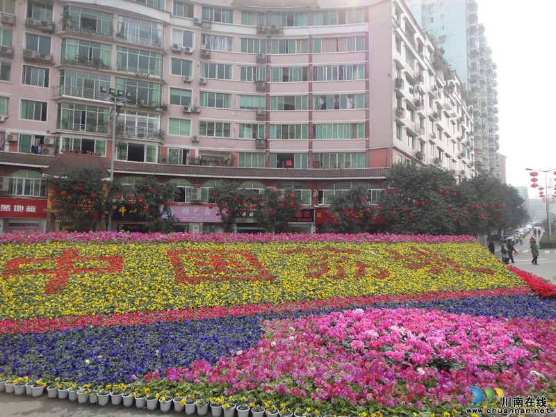 喜迎新春&nbsp;鲜花、灯笼扮靓泸州合江(图5)