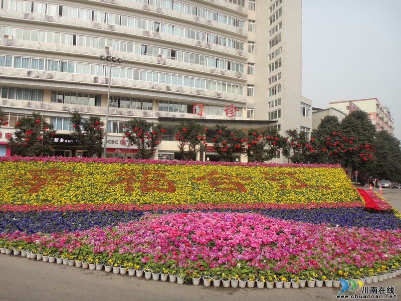 喜迎新春&nbsp;鲜花、灯笼扮靓泸州合江(图6)
