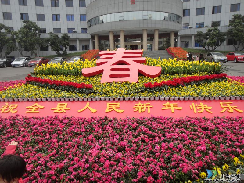 喜迎新春&nbsp;鲜花、灯笼扮靓泸州合江