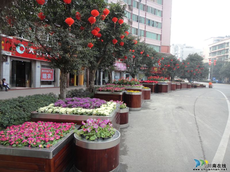 喜迎新春&nbsp;鲜花、灯笼扮靓泸州合江(图4)