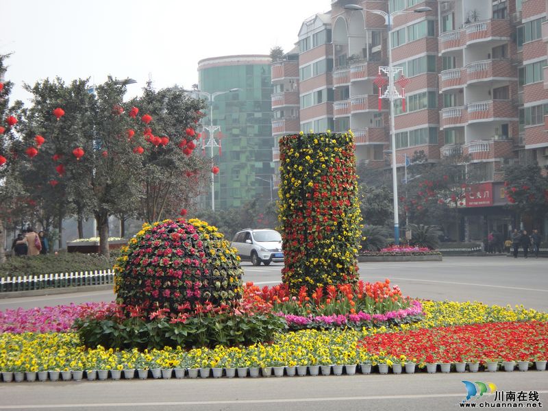 喜迎新春&nbsp;鲜花、灯笼扮靓泸州合江(图7)