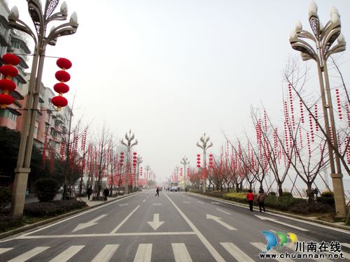 喜迎新春 鲜花、灯笼扮靓合江(图3) 喜迎新春 鲜花、灯笼扮靓合江(图3)