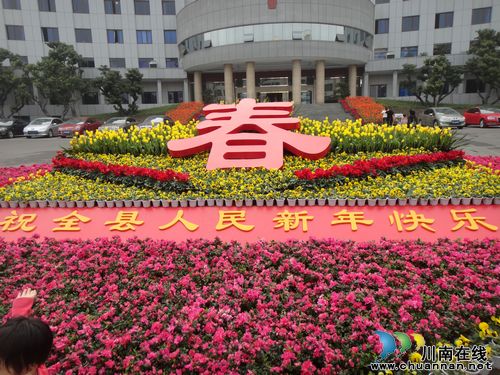喜迎新春&nbsp;鲜花、灯笼扮靓合江