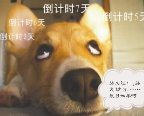 "节前综合征"你中标了吗? 挺住!节前最后一天(图1) "节前综合征"你中标了吗? 挺住!节前最后一天(图1)