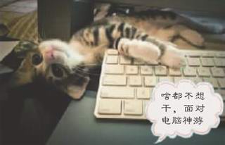 "节前综合征"你中标了吗? 挺住!节前最后一天(图3) "节前综合征"你中标了吗? 挺住!节前最后一天(图3)