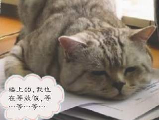"节前综合征"你中标了吗? 挺住!节前最后一天(图2) "节前综合征"你中标了吗? 挺住!节前最后一天(图2)