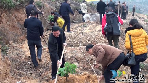 合江:党政领导节后上班植树忙(图1) 合江:党政领导节后上班植树忙(图1)