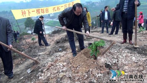 合江:党政领导节后上班植树忙(图2) 合江:党政领导节后上班植树忙(图2)