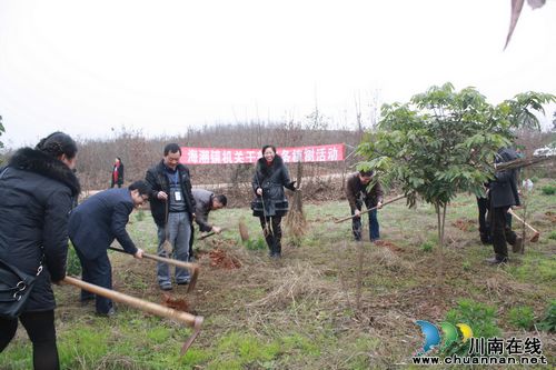海潮镇:开展义务植树起好新年第一步(图2) 海潮镇:开展义务植树起好新年第一步(图2)