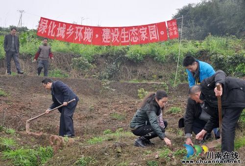 叙永总工会参加植树造林建设生态家园(图1) 叙永总工会参加植树造林建设生态家园(图1)