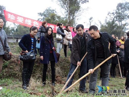 大山坪街道:节后上班首件事——植树添新绿(图1) 大山坪街道:节后上班首件事——植树添新绿(图1)