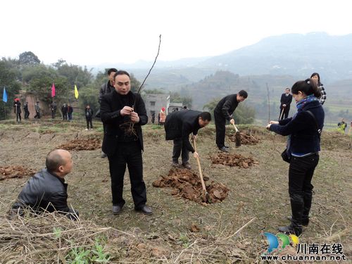大山坪街道:节后上班首件事——植树添新绿(图2) 大山坪街道:节后上班首件事——植树添新绿(图2)