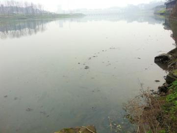 内江:污水处理厂背后 污水直排甜城湖(图1) 内江:污水处理厂背后 污水直排甜城湖(图1)