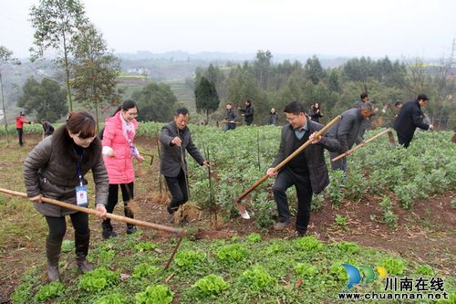 毗卢镇：冒雨植树&nbsp;为大地添新绿(图2)