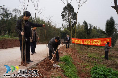 立石镇:开展迎春植树活动 绿化乡村公路(图2) 立石镇:开展迎春植树活动 绿化乡村公路(图2)