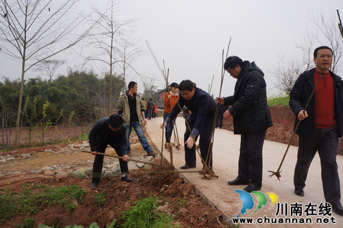 立石镇:开展迎春植树活动 绿化乡村公路(图3) 立石镇:开展迎春植树活动 绿化乡村公路(图3)