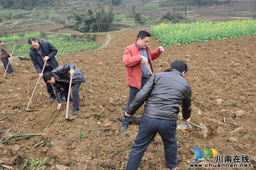 叙永县安监局到矿山重镇植树 助生态恢复(图1) 叙永县安监局到矿山重镇植树 助生态恢复(图1)