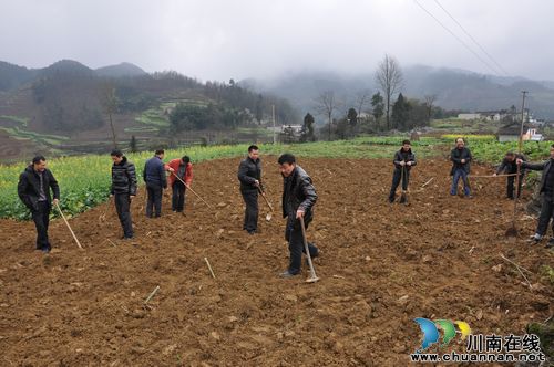 叙永县安监局到矿山重镇植树 助生态恢复(图2) 叙永县安监局到矿山重镇植树 助生态恢复(图2)