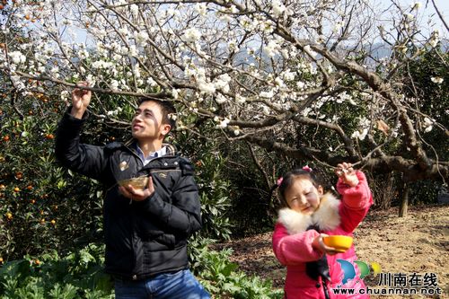 泸州叙永:石漠化治理迎来庭院经济新生(图1) 泸州叙永:石漠化治理迎来庭院经济新生(图1)