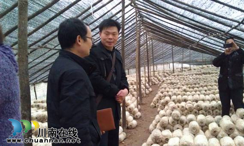 太伏镇：快早谋划&nbsp;加速新村产业发展(图1)