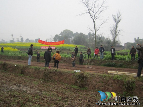 白沙镇：集中召开旱育秧现场培训会&nbsp;做好粮油高产创建工作(图1)