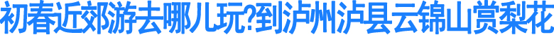 泸县云锦山百余株百年老梨树提前半月绽放花蕊"迎客"(图1)