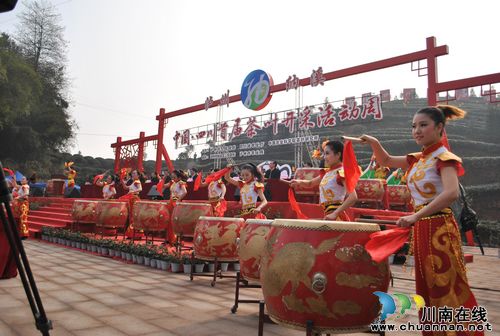泸州：专家把脉&nbsp;为纳溪特早茶出谋划策(图1)