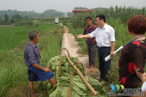 密溪乡瓦房村：老王山上党旗红(图5)
