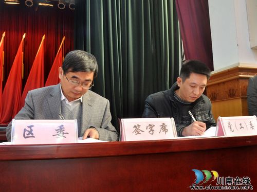 纳溪区召开2013年党建工作会(图3)