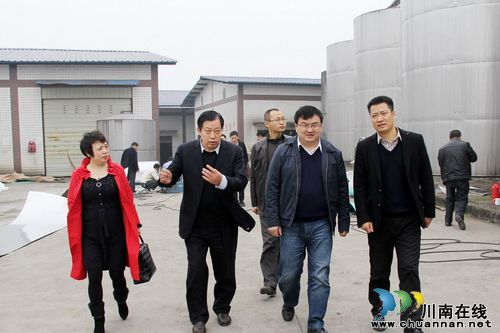 江阳区区委常委、副区长胥兴贵带队调研通滩酒业发展工作(图1)