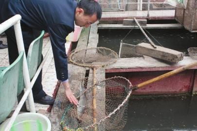 禁渔期间&nbsp;宜宾一渔船查出5条达氏鲟