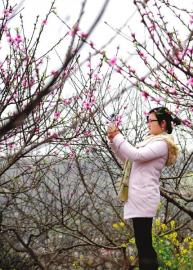 “美丽中国·花开川南”川南最佳赏花胜地评选(图2) “美丽中国·花开川南”川南最佳赏花胜地评选(图2)