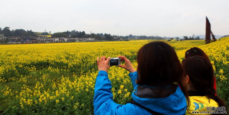泸州江阳:乡村美景入画来(图6) 泸州江阳:乡村美景入画来(图6)