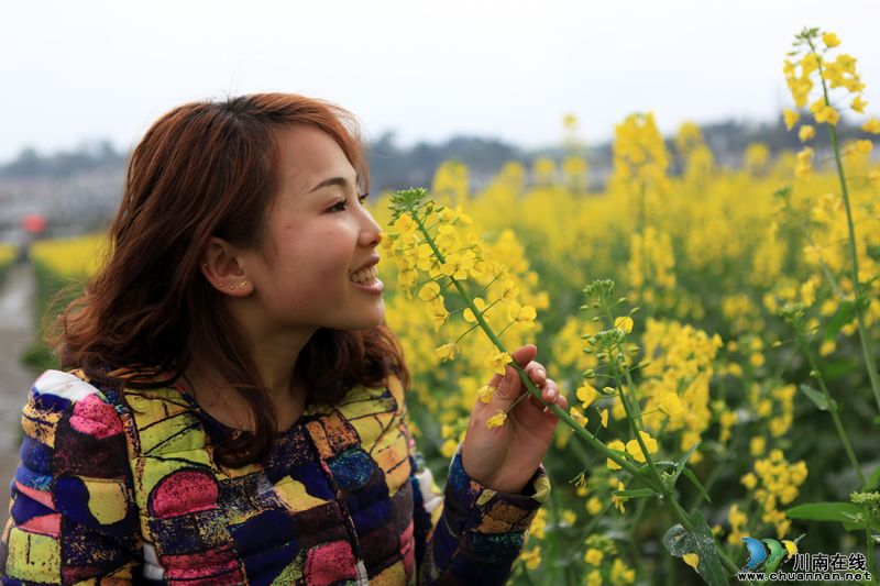 泸州江阳:乡村美景入画来(图5) 泸州江阳:乡村美景入画来(图5)
