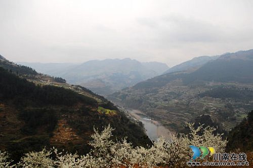 叙永:赤水河畔桃花李花次第开 踏青赏花这里来(图3) 叙永:赤水河畔桃花李花次第开 踏青赏花这里来(图3)