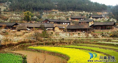 叙永:赤水河畔桃花李花次第开 踏青赏花这里来(图1) 叙永:赤水河畔桃花李花次第开 踏青赏花这里来(图1)