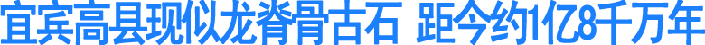 宜宾高县发现"亿岁"石头(图1)