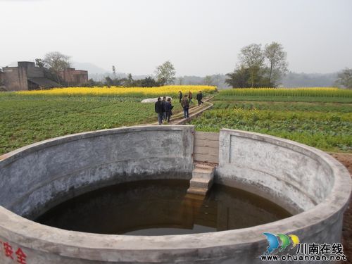 合江白米乡：千亩连片打造国家级露地蔬菜标准园