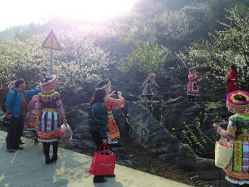 花为媒引资14亿&nbsp;筠连腾达镇春风村将变身4A景区