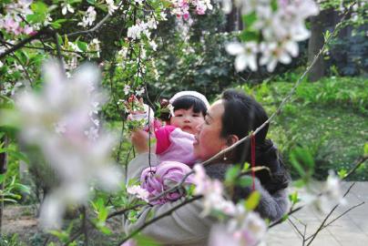 刚过惊蛰就像入夏？川南最高气温近日将超27℃