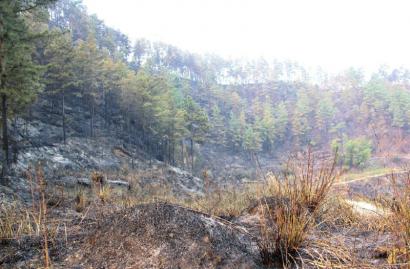 500人奋战12小时&nbsp;扑灭山火(图2)